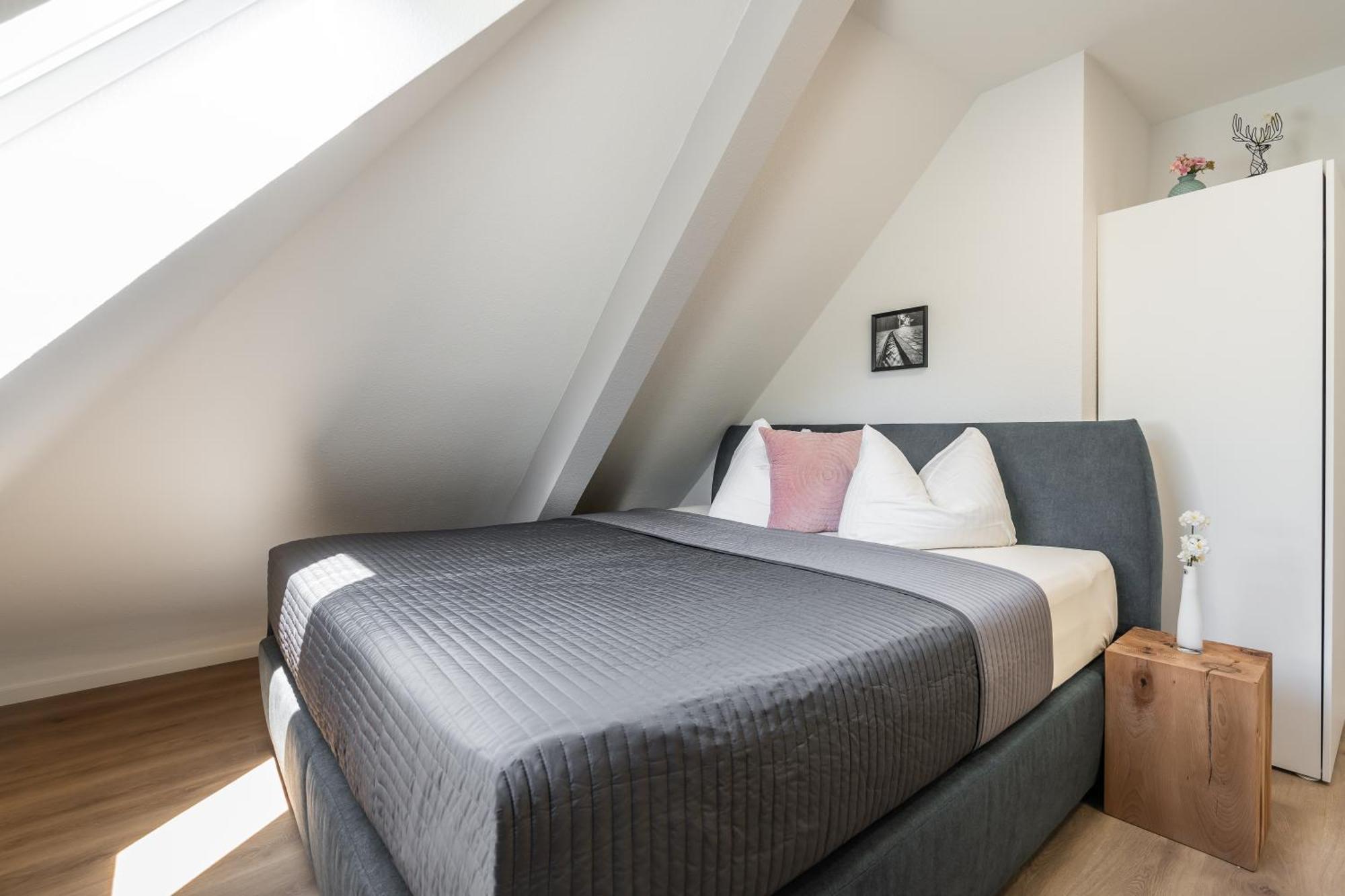 פרייבורג Boutique Apartments Am Stadtgarten חדר תמונה