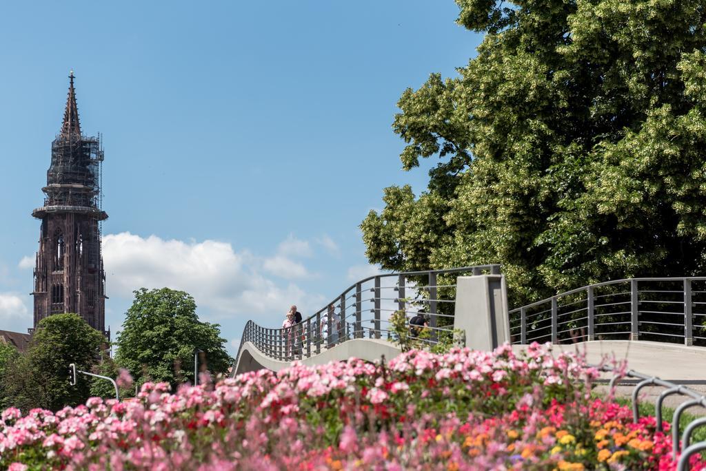 פרייבורג Boutique Apartments Am Stadtgarten מראה חיצוני תמונה